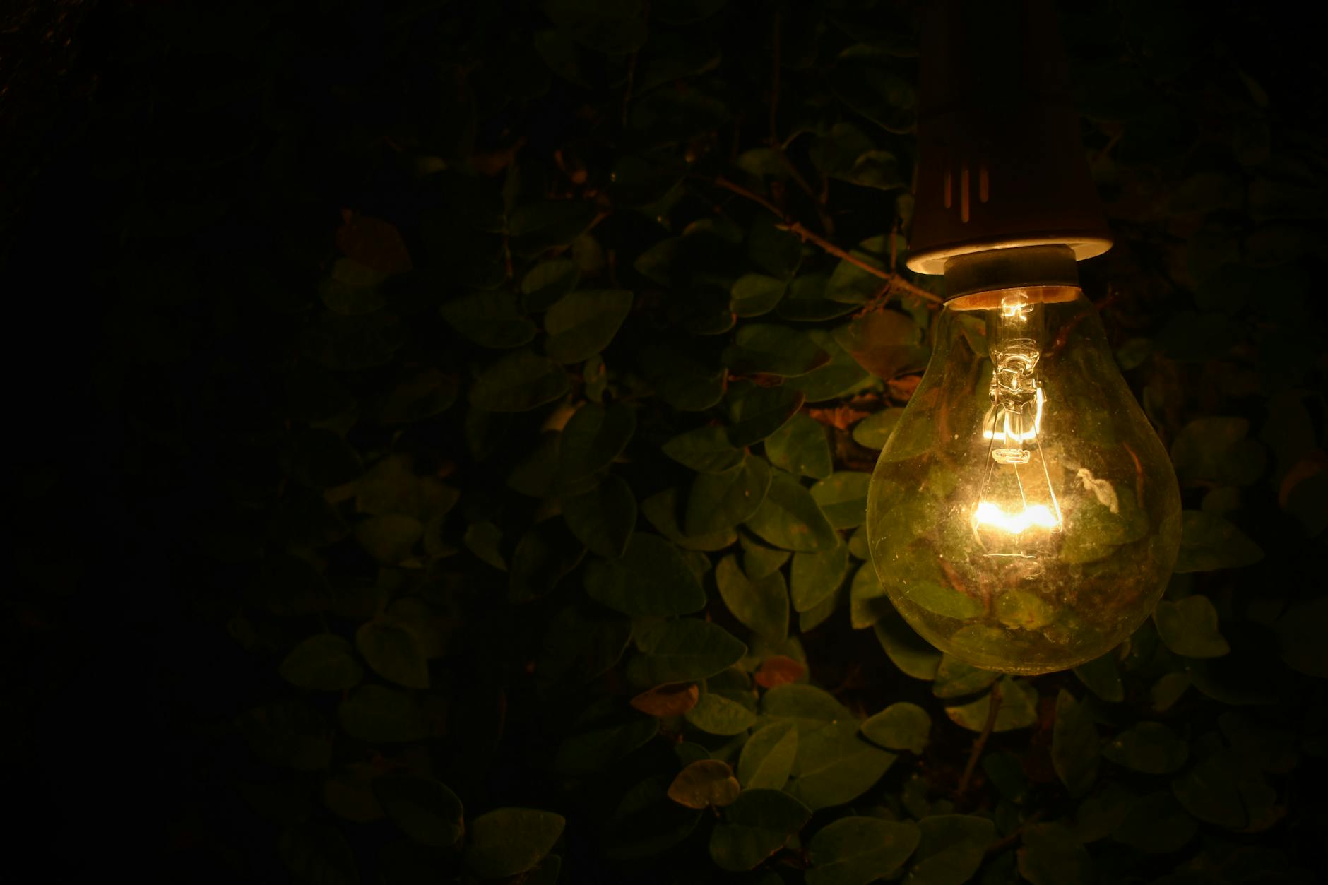 Creating A Healthier Home, One Light Bulb At A Time