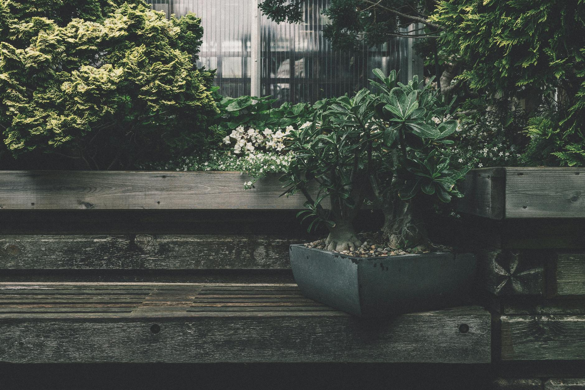 Outdoor Oasis: Designing Your Perfect Backyard With LED Lights
