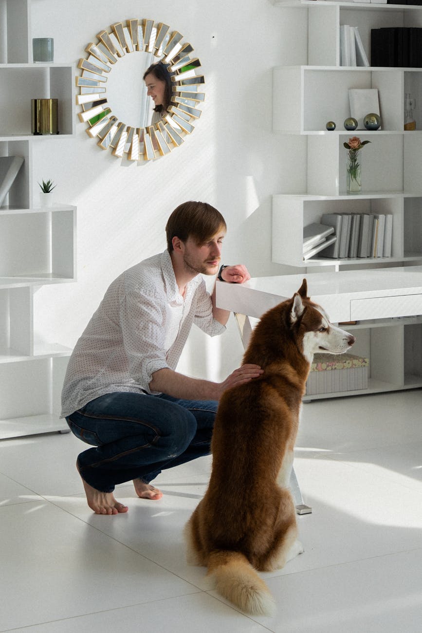 Is A Warm Or Cool Light Better For Living Rooms?