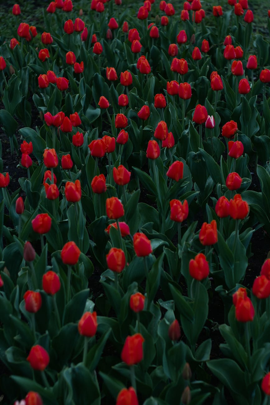 How To Choose The Right Bulb (Lumens & Color) For Your Outdoor Fixtures.