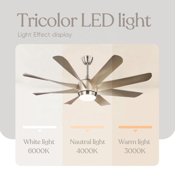 Hot Sale 60 Inch Abs 8 Blade Luxury - Image 3
