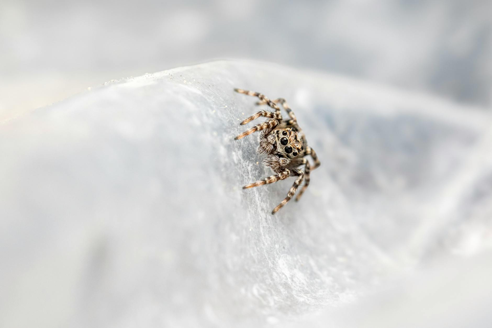 Your Outdoor AC Unit Survived The Winter. Now What?
