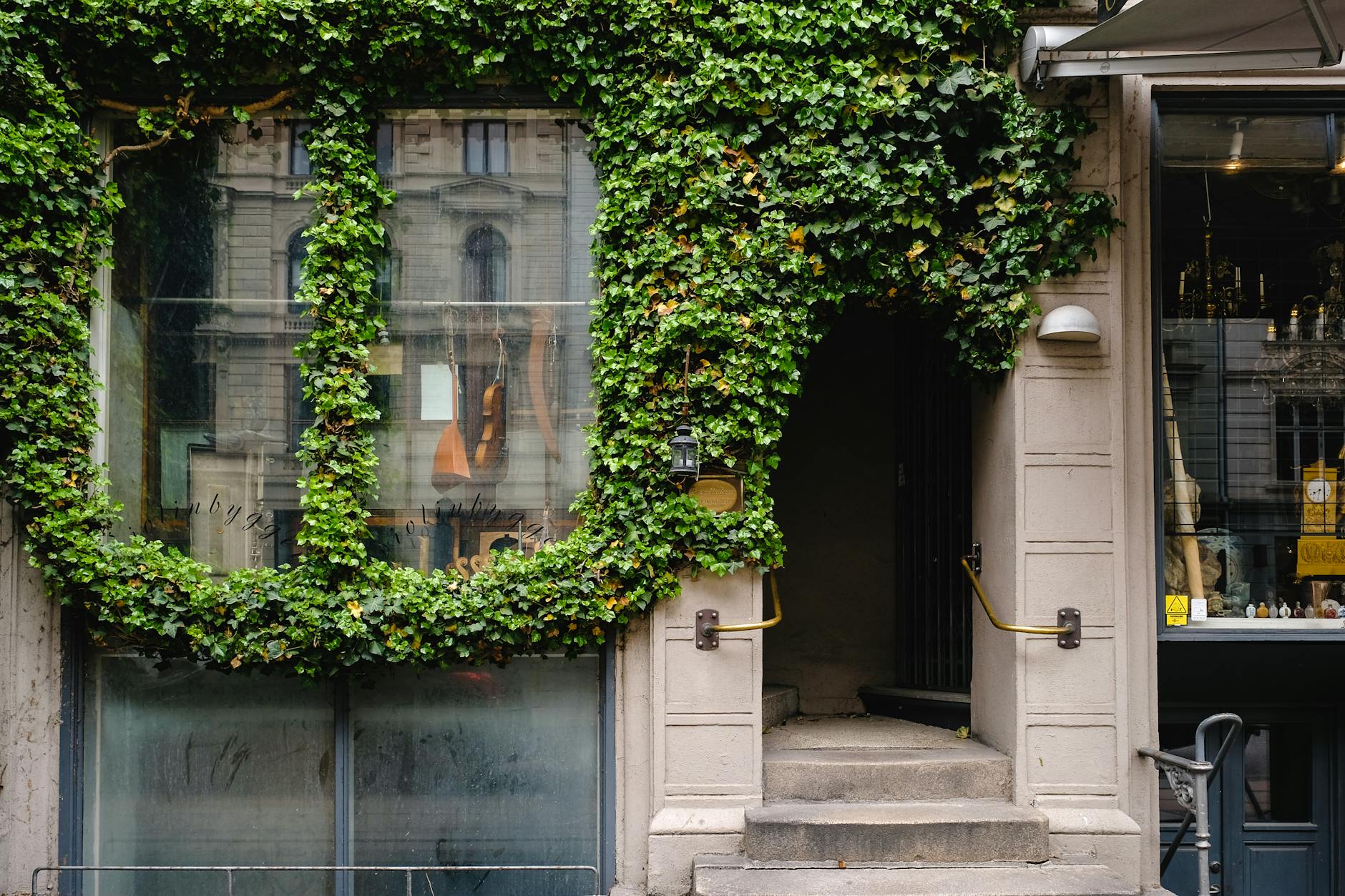 Biophilic Design: Bringing The Outdoors In For A Healthier Home