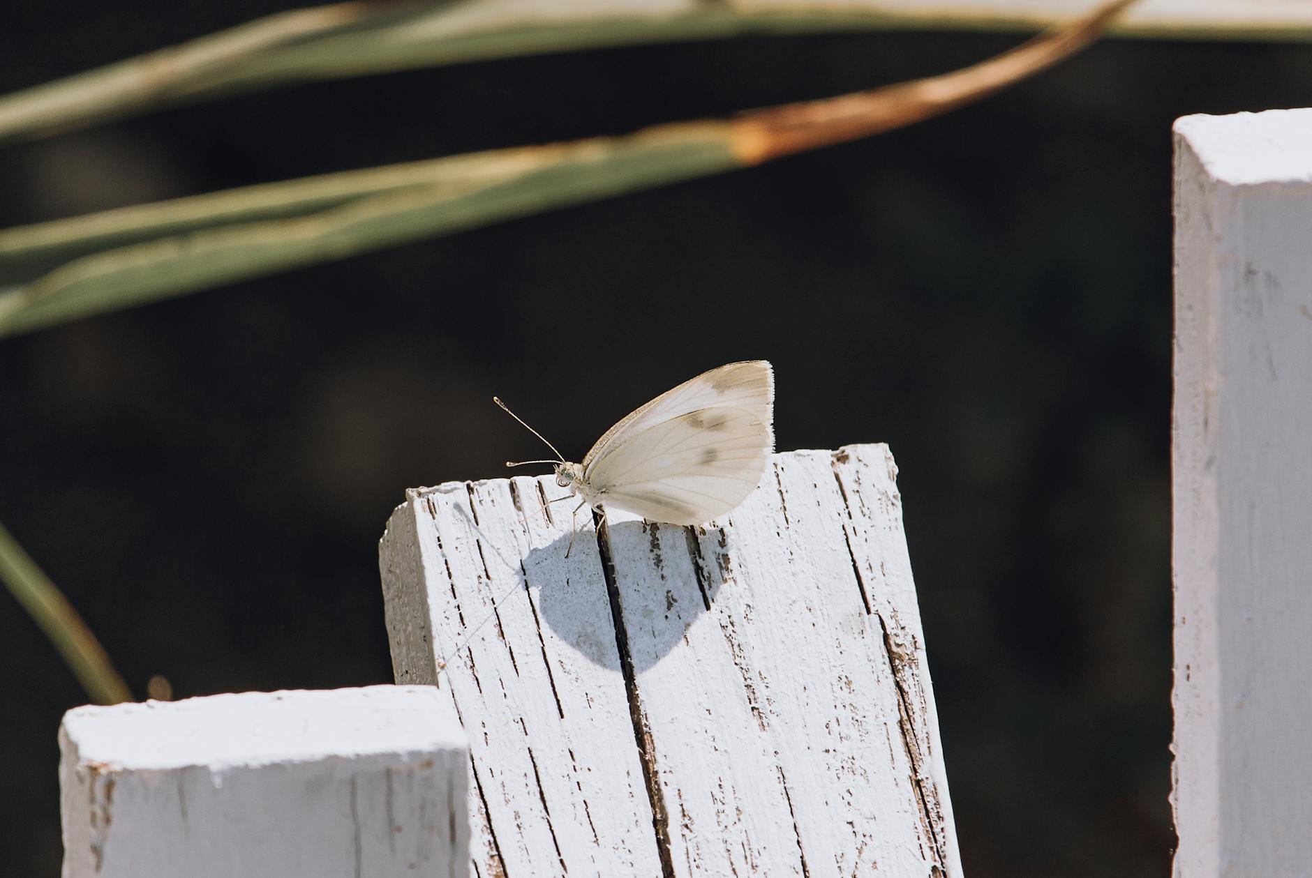 Debunked: 5 Common Myths About Outdoor AC Units.